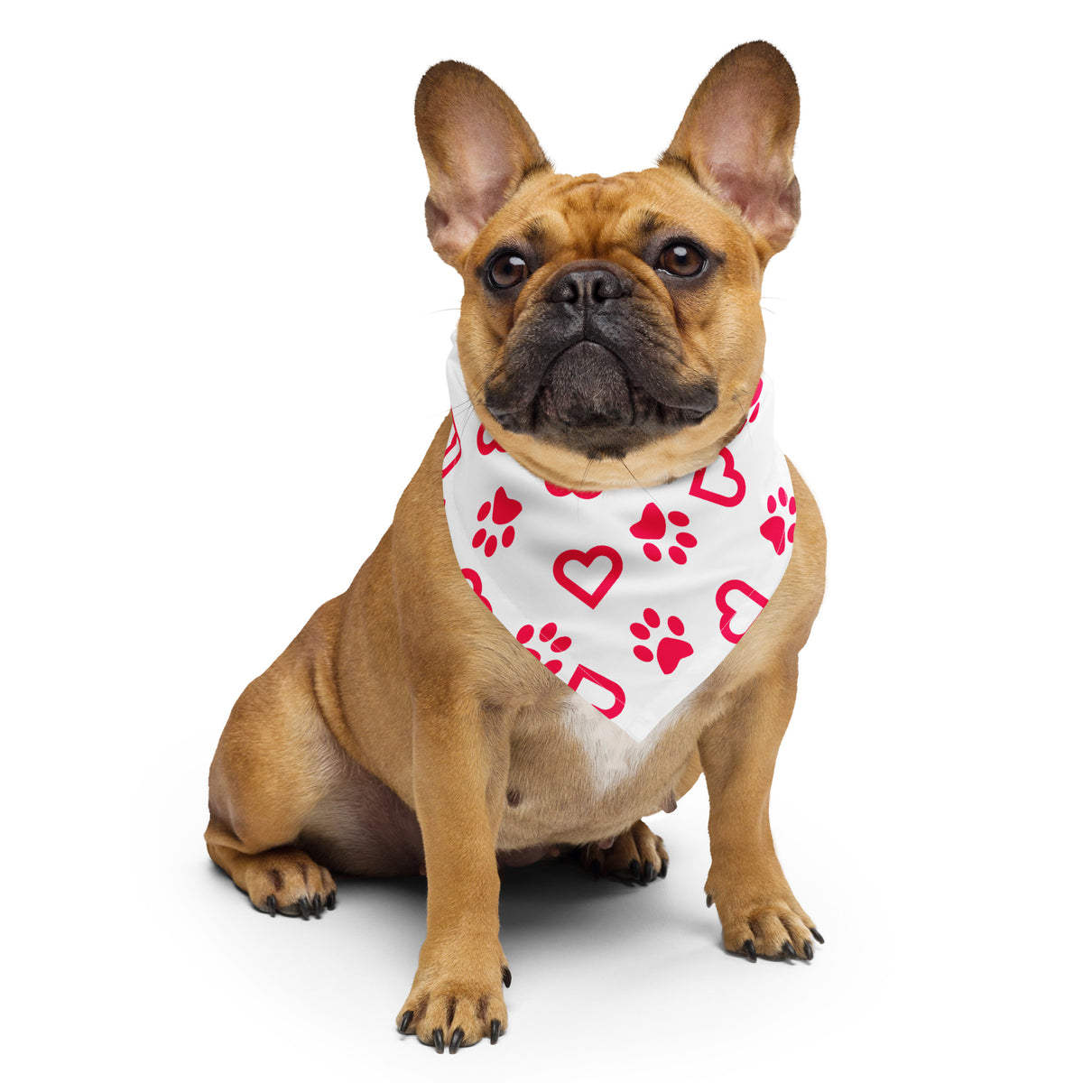 Heart Pet Bandana